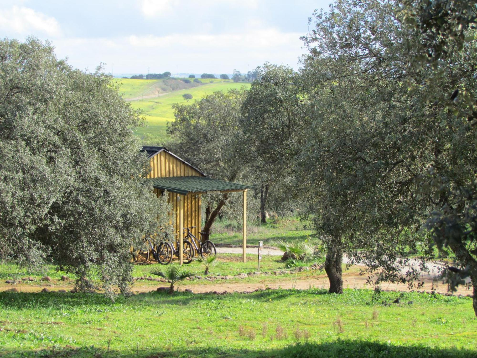 Montimerso Skyscape Countryhouse Monsaraz Kültér fotó